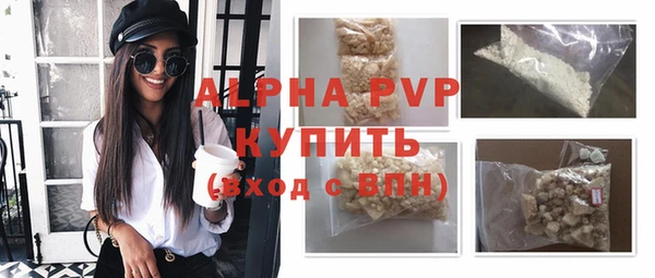 скорость Каменногорск