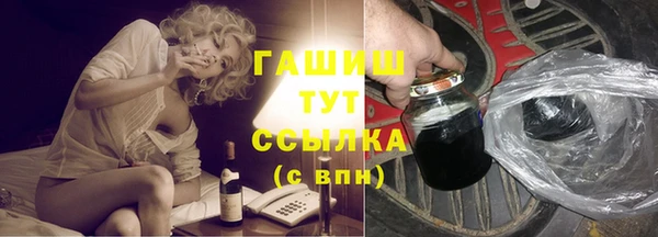стаф Каменка