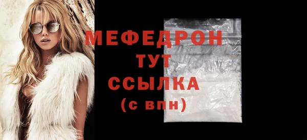 стаф Каменка