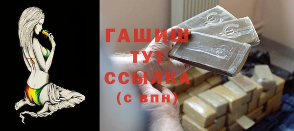 стаф Каменка