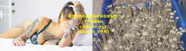 скорость Каменногорск