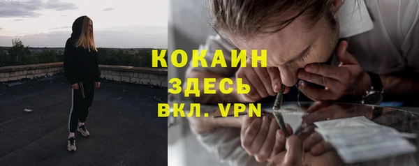 скорость Каменногорск