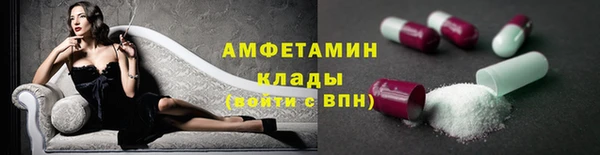 скорость Каменногорск