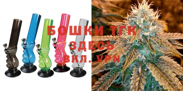 стаф Каменка