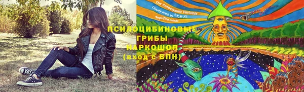 скорость Каменногорск