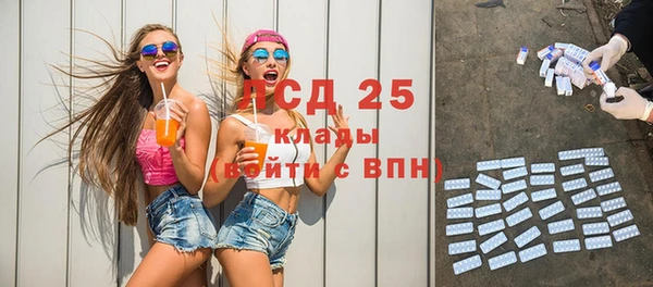 стаф Каменка