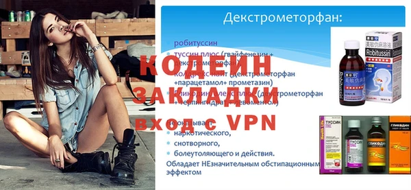 стаф Каменка