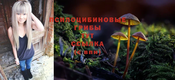 скорость Каменногорск