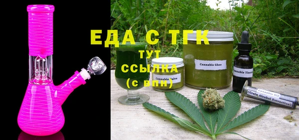стаф Каменка