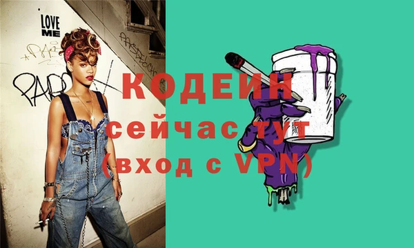 стаф Каменка