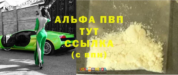 стаф Каменка