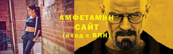 стаф Каменка