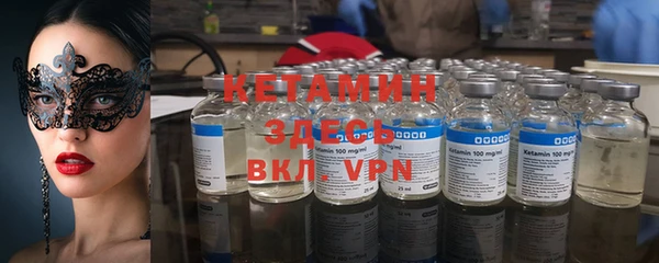 стаф Каменка
